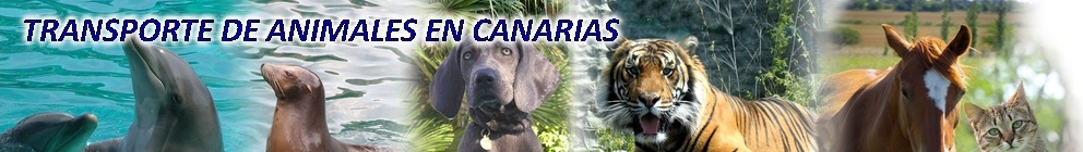 TRANSPORTE DE ANIMALES EN CANARIAS